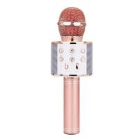 Torima WS-858 Karaoke Mikrofon Aux Usb Ve Sd Kart Girişli Bluetooth Hoparlör