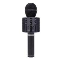 Torima WS-858 Karaoke Mikrofon Aux Usb Ve Sd Kart Girişli Bluetooth Hoparlör